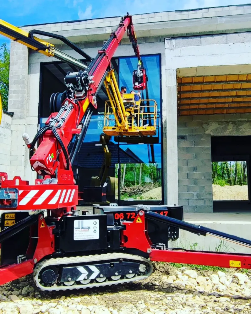 grue araignéewebp
